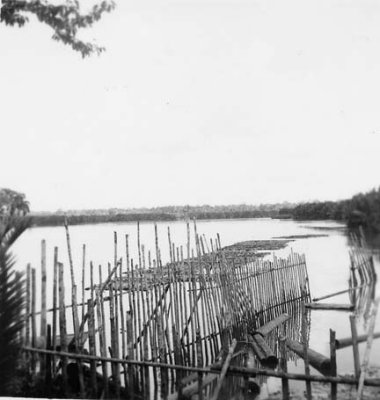 Assembling a log raft.