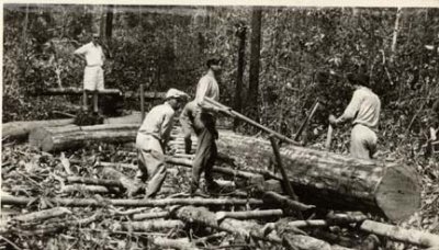 Log almost in position