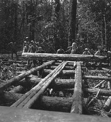 Log being manouvered onto railline