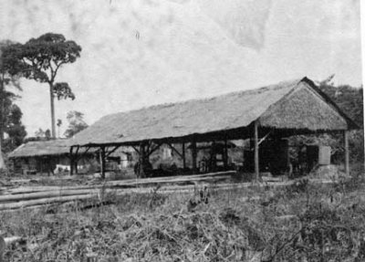 Jungle sawmill
