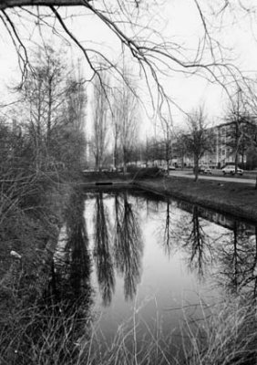 Canal Den Hague (2)