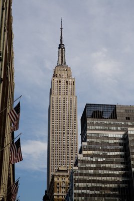 IMG_7767.jpg