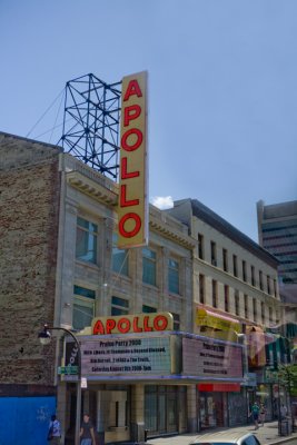 IMG_8231.jpg
