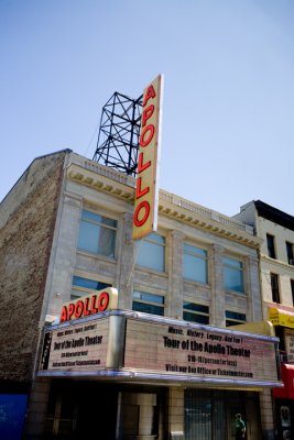 IMG_8236.jpg