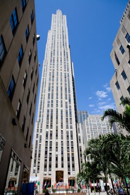 IMG_8296.jpg