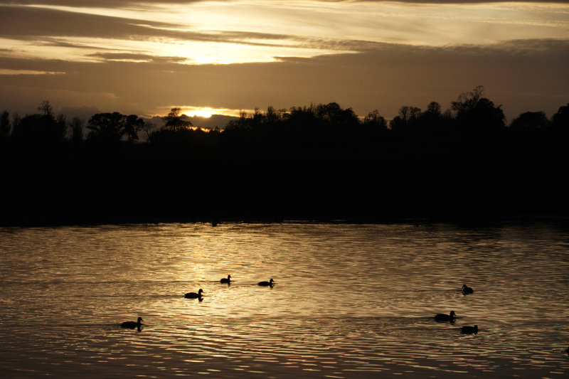 sunset800-srgb.jpg