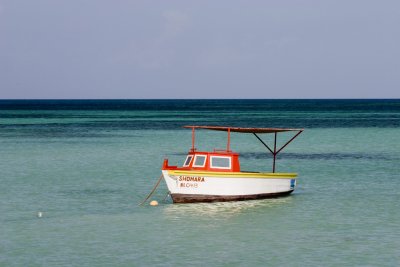sm-fish-boat.jpg