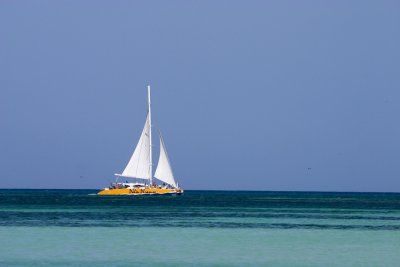 sm-sail-4.jpg