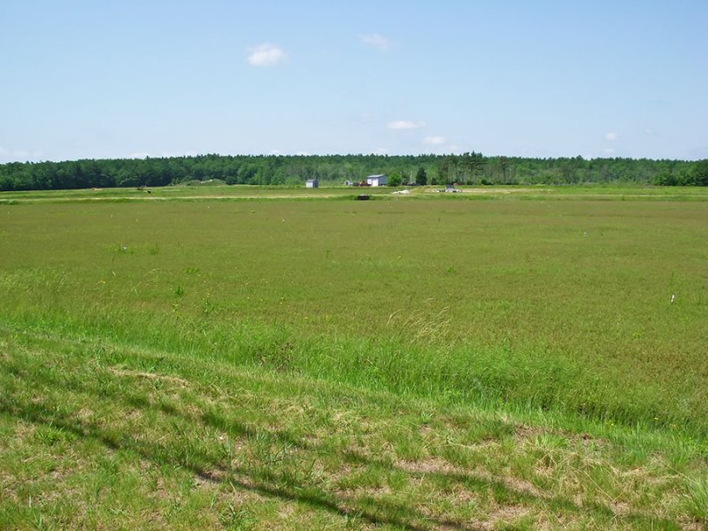 Cranberry Bogs