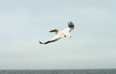 IMG_5863.jpg