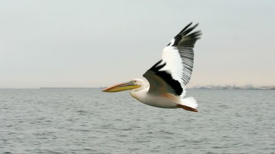 IMG_5867.jpg