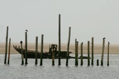 IMG_5877.jpg