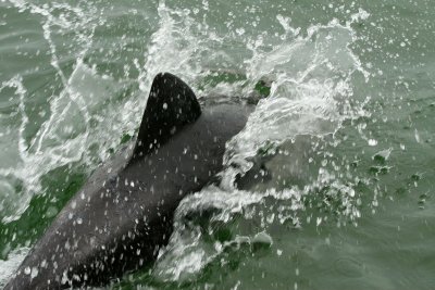 IMG_5948.jpg