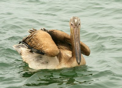 IMG_5979.jpg