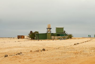 Cape Cross Sealion Colony