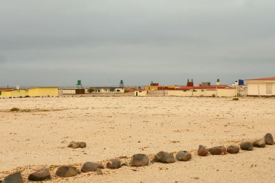 Cape Cross Sealion Colony