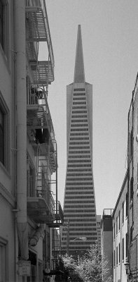 SAN FRANCISCO BUILDING