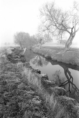 BEVERLEY BROOK RICHMOND