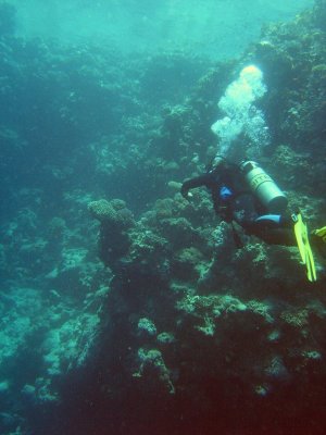 la profe... ai! la guia... vaja, l'Annona! sortint al Blue Hole