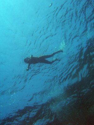 mira la Miriam!!! ja l'hem trobada!!! i és que la nena maca ara ja és Open Water però no quan vem fer la inmersió!