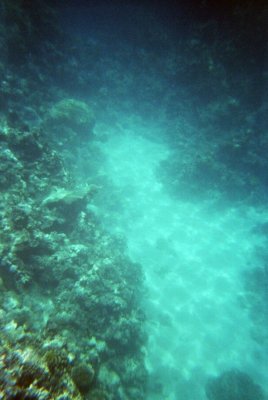 a Islands, al sur de Dahab... on vem veure el tauró!!!