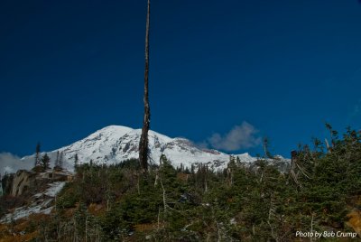 Mt Rainier from Paradise_02.jpg