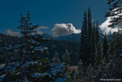 Tatoosh Range from Paradise_01.jpg