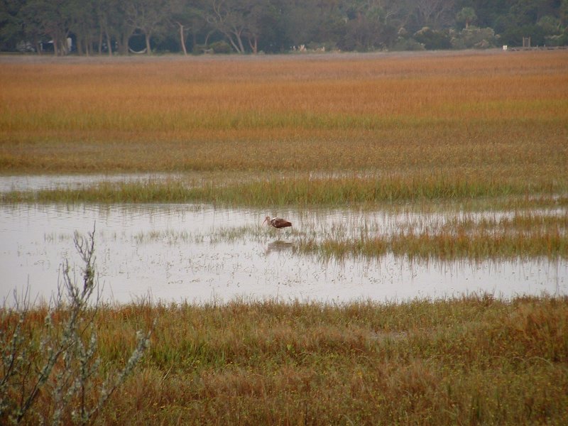 Thanksgiving 2004 065.jpg