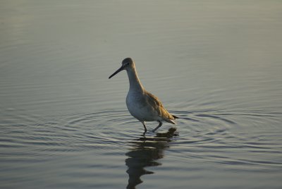 DSC02297.JPG