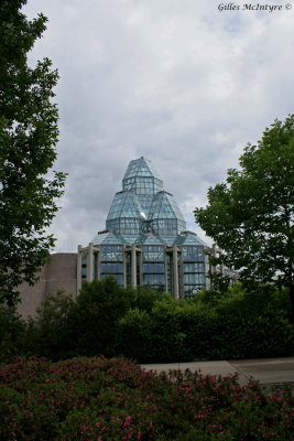 IMG_8003 View of the National Gallery of Canada  /  Vue du  Muse des beaux-arts du Canada.jpg