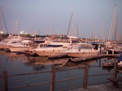 Stamford Harbor