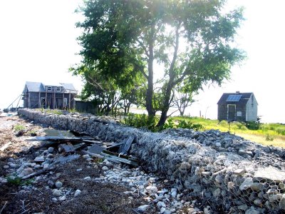 Houses and wall