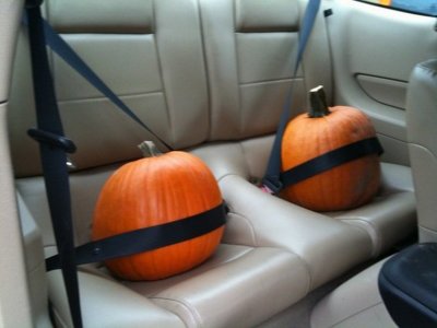 Safe pumpkins