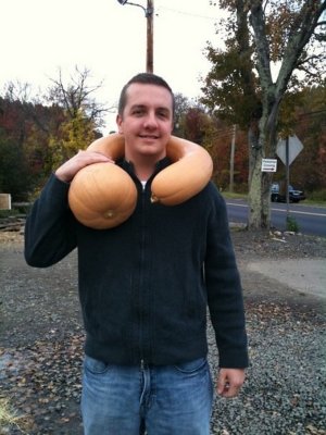 Huge gourd strangling