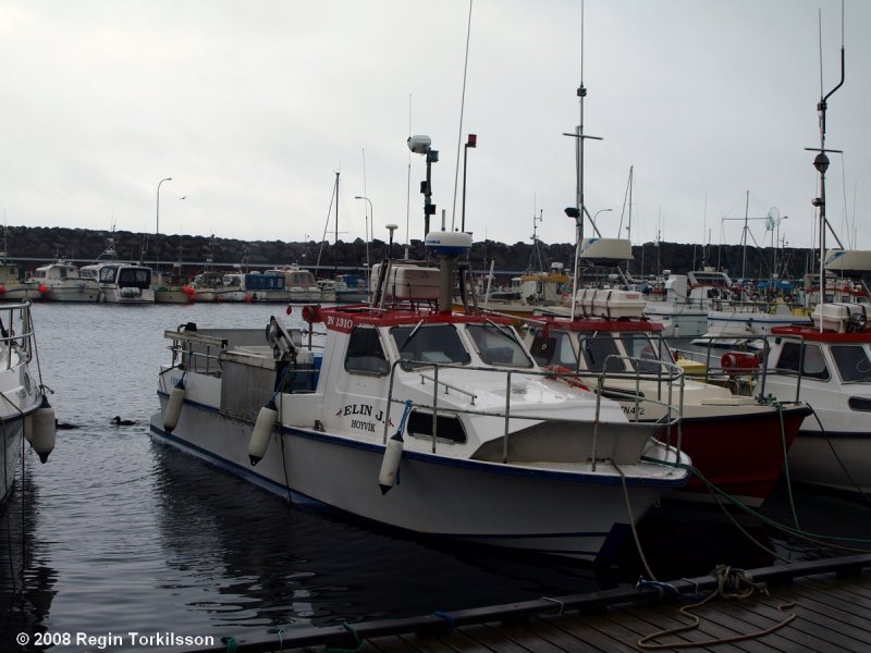 Elin J. TN 1310