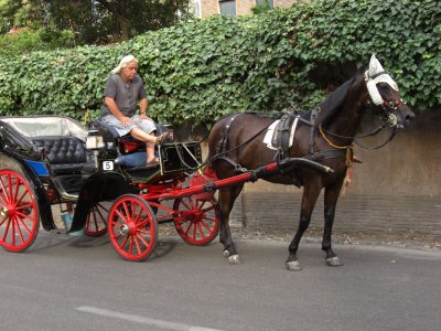 Kutschfahrt zum Abendessen