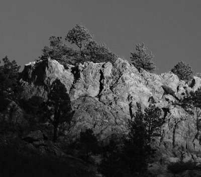DSC_0064  sunset  pines
