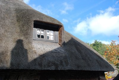 Cockington Thatch Roof