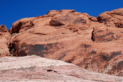 Nevada
