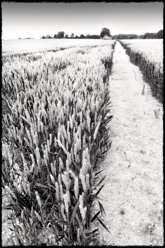 Brokenborough, near Malmesbury, Wilts