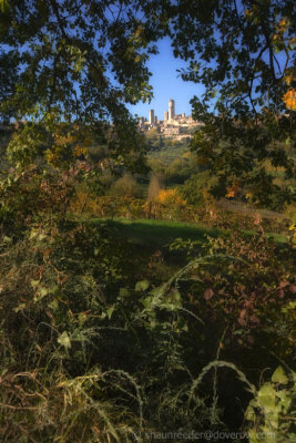 Hedgerow Tapestry With Towers