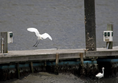 Landing Gear