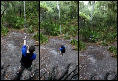 JungleBoy Olympics