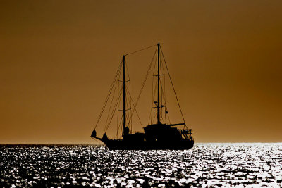 Cachalote at sunset (Elizabeth Bay, Isabela)