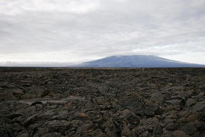 Lava rock Landscape (Punta Moreno, Isabela)