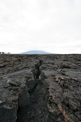 Lava rock Landscape (Punta Moreno, Isabela)