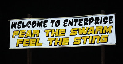 'Fear the swarm; feel the sting'
