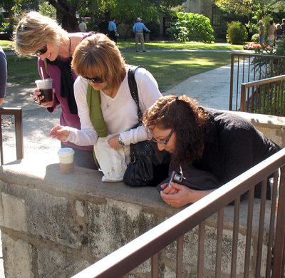 Patty, Celeste, and Jean feed the fish at the Alamo