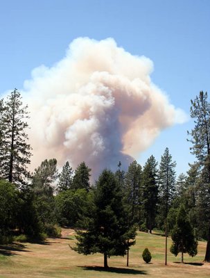 Humboldt Fire, Paradise, CA - June 2008