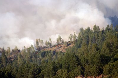6-22: Fire slowly advancing down the canyon